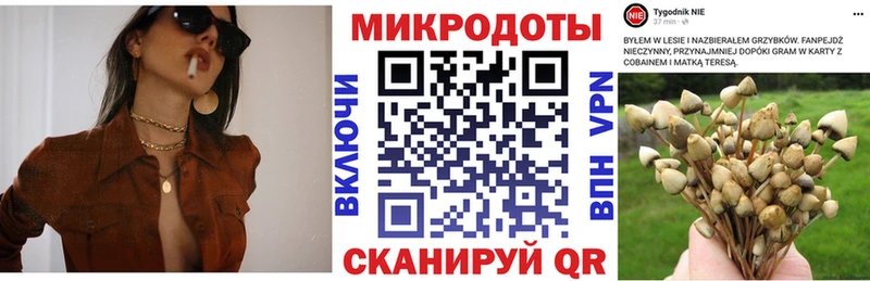 Псилоцибиновые грибы MAGIC MUSHROOMS  МЕГА рабочий сайт  Циолковский 