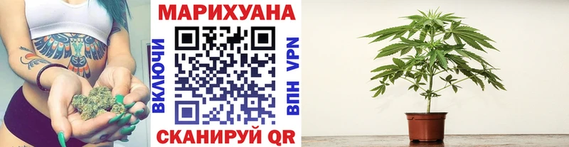 ОМГ ОМГ зеркало  площадка официальный сайт  Циолковский  Бошки марихуана THC 21%  где купить наркоту 